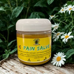 Aloe J Pain Salve